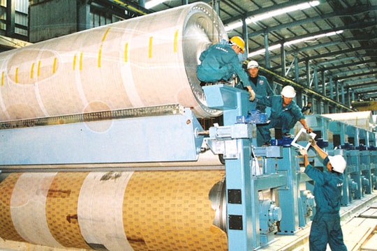 Giấy công nghiệp: Tự tìm cơ hội