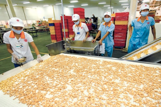 Dự báo tích cực cho một số doanh nghiệp trên sàn