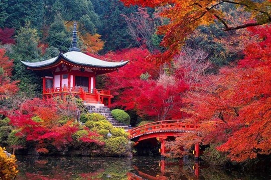 Từ Kyoto đến Seoul