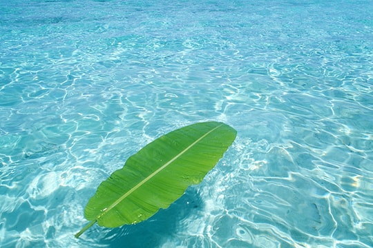 Đọc "Đừng hoang tưởng về biển lớn"