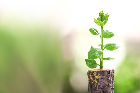 Những người truyền lửa