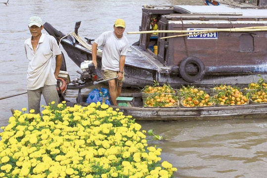 Những miền sông hoa