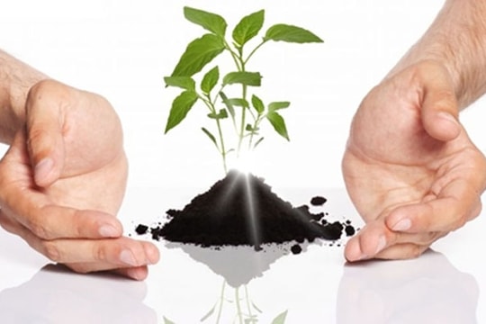 31 lời khuyên giữ chân và đào tạo nhân tài