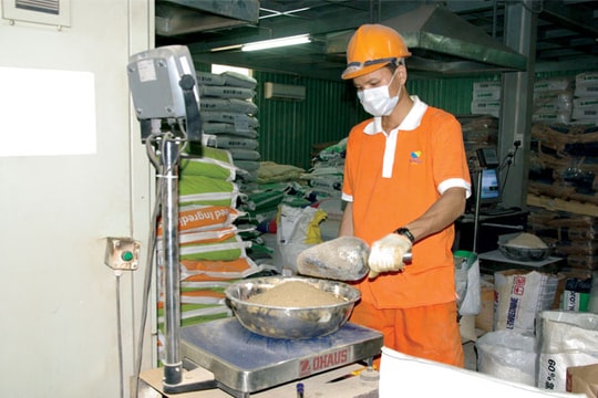 Thức ăn chăn nuôi đuối trên "sân nhà"