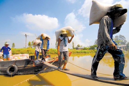 Bộ Công Thương tích cực tìm đầu ra cho nông sản Việt