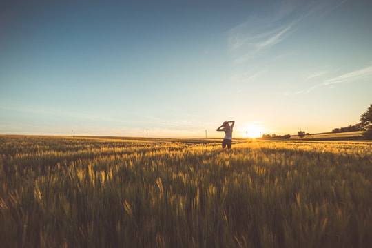 11 ngôn từ bí ẩn để sống, cống hiến, hạnh phúc hơn