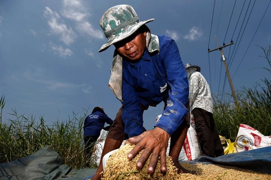 Năm 2015: Tốc độ tăng trưởng kinh tế Thái Lan có nguy cơ sụt giảm