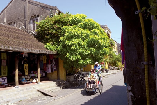 Mùa Hè thách thức