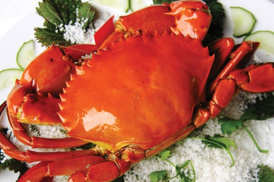 Cua biển miền Tây