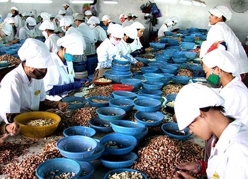 Kinh tế Việt Nam sẽ “trật đường ray phát triển" nếu chậm trễ