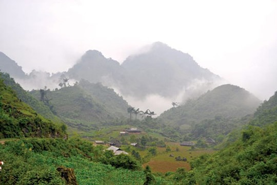 Cung đường trà cổ