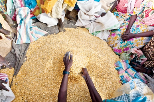 Giảm đói nhưng chưa xoá đói