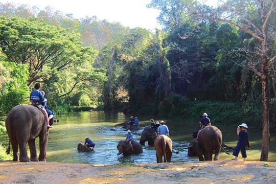 Vẻ đẹp hiền hòa ở Lampang