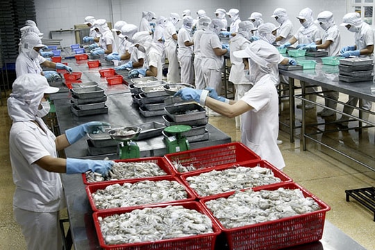 Thị trường xuất khẩu lao đao vì tỷ giá