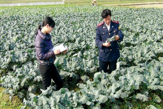 Thị trường thuốc bảo vệ thực vật: Lo ngại từ Thông tư 21