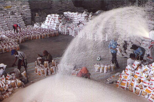 Giá gạo xuất khẩu xuống dưới giá sàn