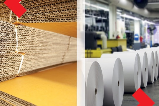 Techcombank ưu đãi doanh nghiệp ngành Giấy