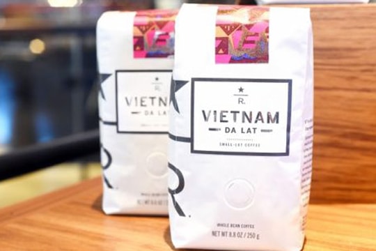 Cà phê Đà Lạt được bán trong cửa hàng Starbucks