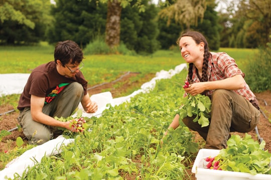 Học nông nghiệp có cần du học?