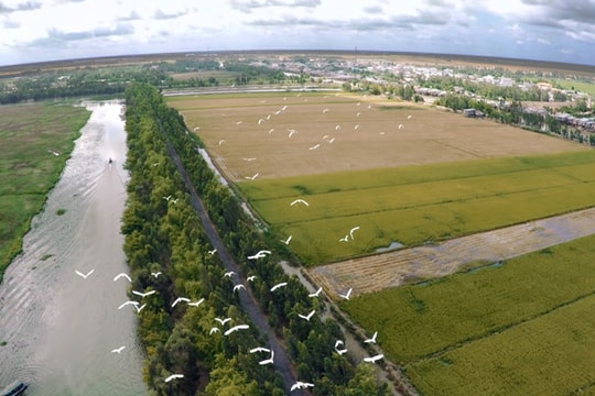 Bảo tồn đa dạng sinh học ở Vườn Quốc gia Tràm Chim