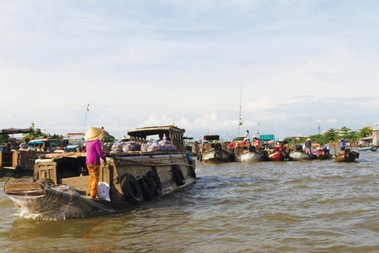 Chợ nổi Cái Răng - điểm du lịch độc đáo miền Tây Nam bộ