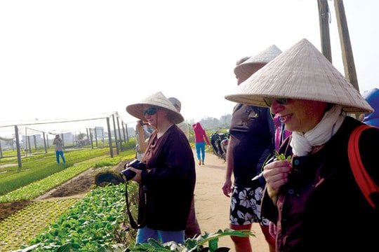 Văn hóa làng rau cảm hóa người Pháp