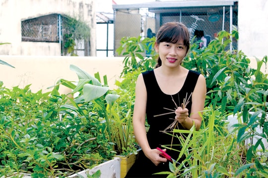 Cô gái làm giàu từ ươm cây thuốc