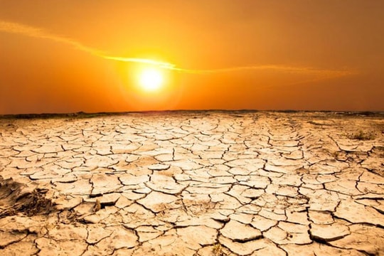 Nông dân Thái Lan vật lộn với hạn hán