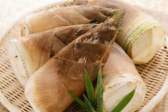 Măng chua núi Cấm