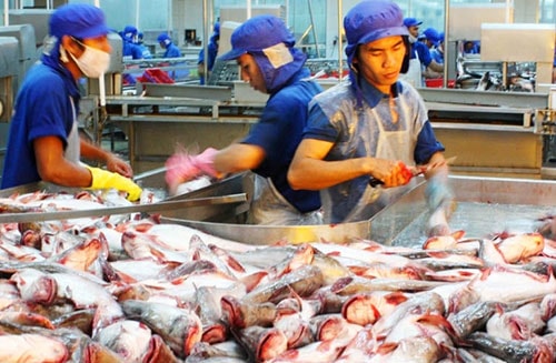 9 tháng, xuất khẩu nông lâm thủy sản giảm mạnh so với cùng kỳ