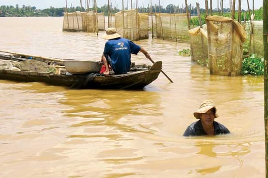 Đồng bằng sông Cửu Long mùa con nước đỏ