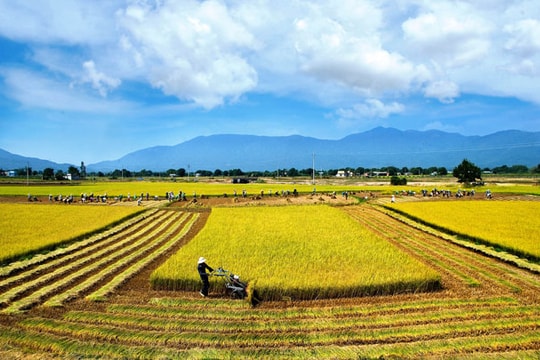 Thủ tướng chỉ đạo tập trung hơn nữa thực hiện tái cơ cấu kinh tế