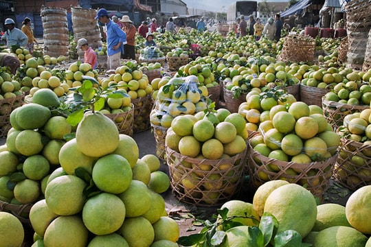 Thị trường trái cây: Đích ngắm 2 tỷ USD