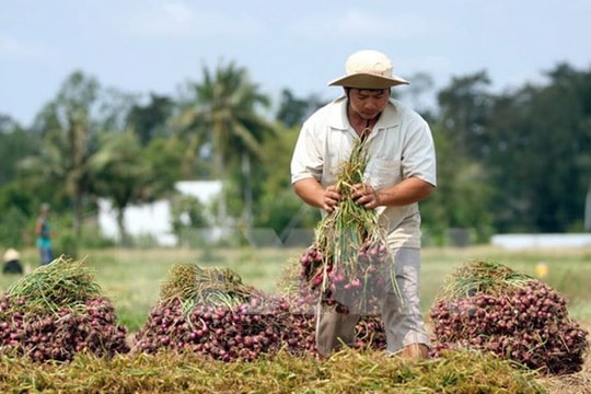 Năm 2015: Dự kiến xuất khẩu nông lâm thủy sản chỉ đạt 95% mục tiêu