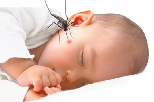 Những điều cần biết về bệnh sốt xuất huyết