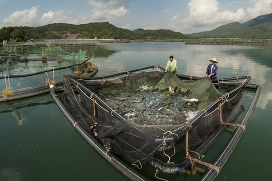 Howmuch: Quy mô kinh tế Việt Nam tương đương một bang của Mỹ