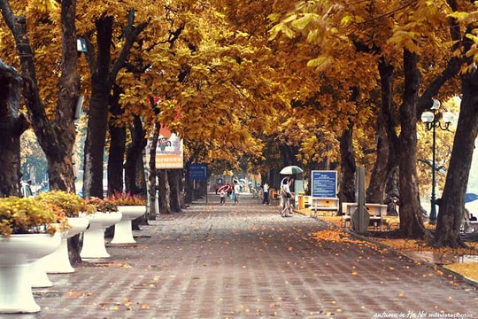 Hà Nội lọt top 3 điểm đến được chia sẻ ảnh nhiều nhất trên Pinterest