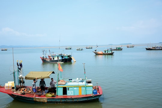 Chinh phục Mũi Sa Vĩ ở Quảng Ninh
