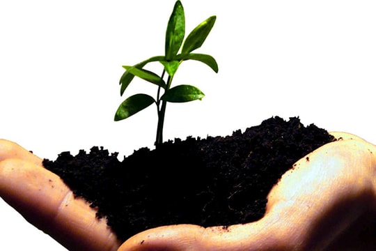 Hỗ trợ cộng đồng khởi nghiệp: 4 ngành nghề được ưu đãi đầu tư