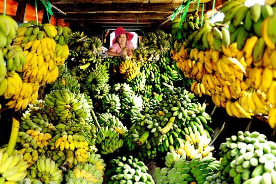 Chỉ số PMI tháng 11 giảm thấp nhất trong 2 năm qua