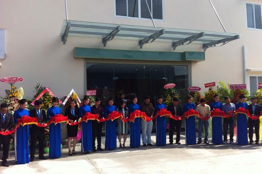 Nhà máy Đạt Vĩnh Tiến đi vào hoạt động