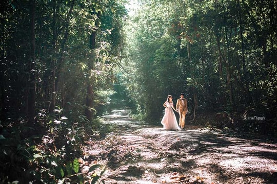 Về miền sơn cước Mã Đà