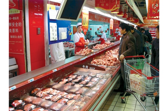 Ăn thịt là gián tiếp làm hại Trái đất?