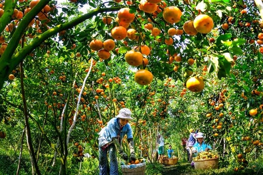 4 yếu tố giúp Việt Nam thu hút giới đầu tư Mỹ