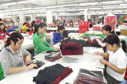 Nguy cơ mất thị trường Hàn Quốc vì lao động bỏ trốn