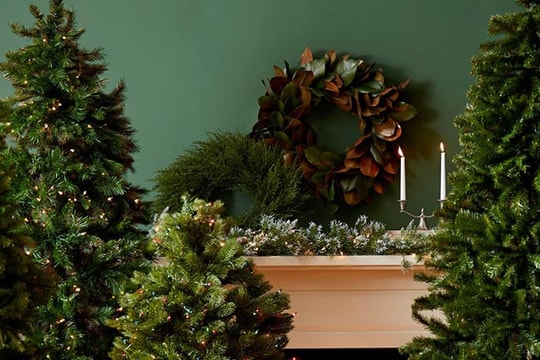 Giáng sinh bàn chuyện cây thông