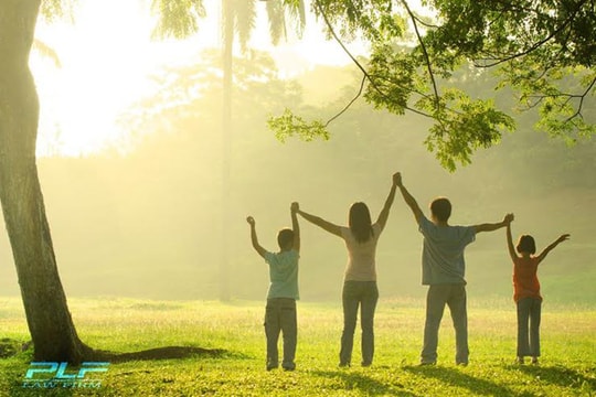 Quy định mới về chế độ ốm đau, thai sản hiệu lực từ 15/2/2016