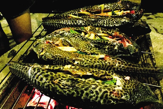 Món ngon từ con cá xấu xí