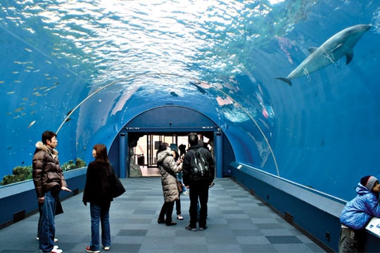 Sự quyến rũ của biển