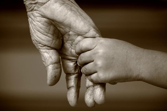 Từ cánh cửa của nội